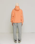 Hub (Love) Hoodie - Salmon